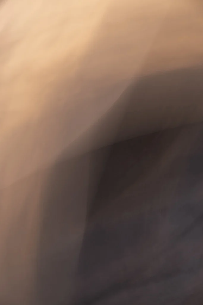 ICM
